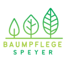Baumpflege Landau