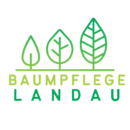 Baumpflege Landau